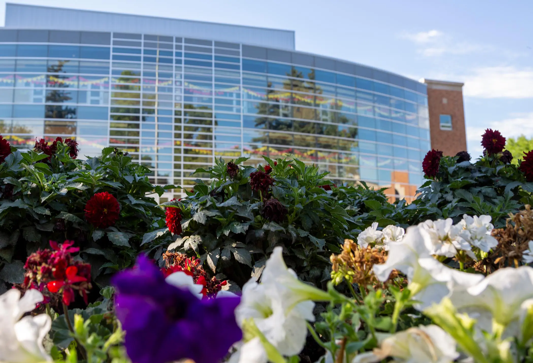 flowers in front of campus building