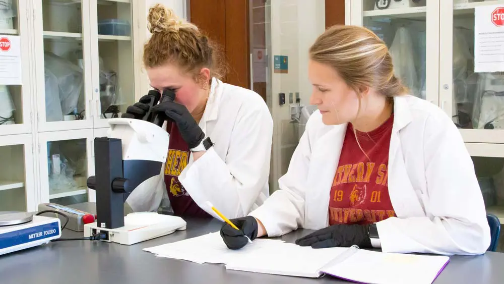 Students in lab working on research project